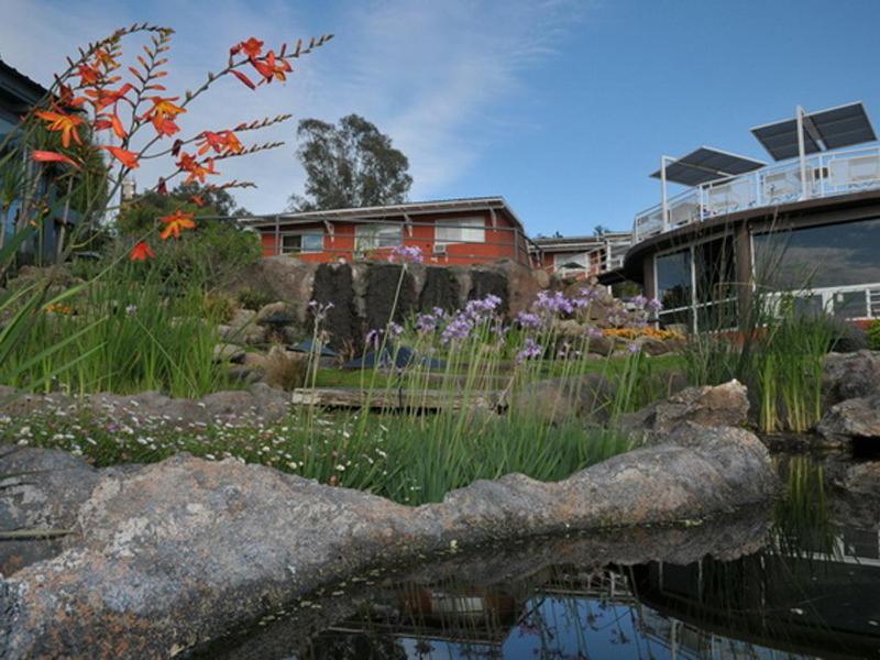 Hotel Buenavista &